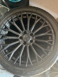 IMG_3431.jpeg
