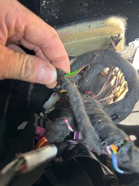 IMG_4917.jpeg