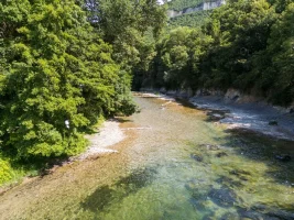 DJI_0005.webp DJI_0005.webp