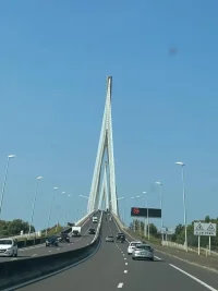 1000008407.webp