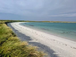 PXL_20250825_091252361~2.jpg