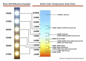led temp.webp