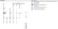 window fuses.JPG