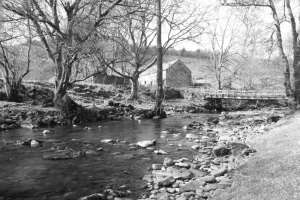 BWbarn.webp