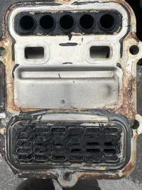 image1.jpeg