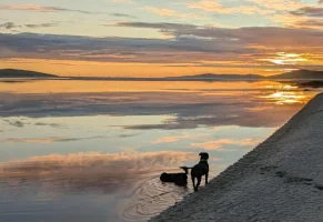 Messenger_creation_BADC2614-1C71-421C-B3F3-69A24B3CD8F8.jpeg Messenger_creation_BADC2614-1C71-421C-B3F3-69A24B3CD8F8.jpeg