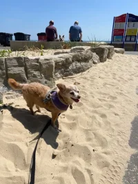 G Beach.webp G Beach.webp