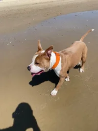 R Beach2.webp R Beach2.webp