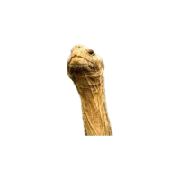 1760211549036.webp 1760211549036.webp