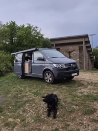 Vanandog.webp Vanandog.webp