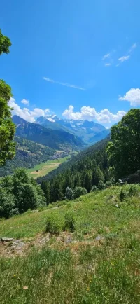 Walking in Moulin France 2025.webp