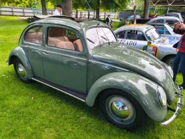 IMG_20251116_100211111_HDR.webp