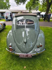 IMG_20251116_100236935_HDR.webp