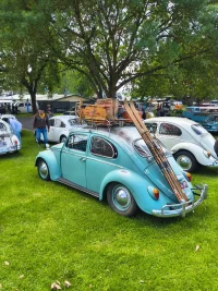 IMG_20251116_100617327_HDR.webp