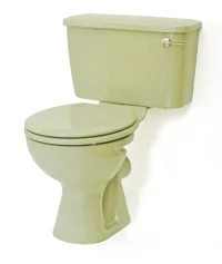 avocado-toilet-pan-and-cistern-close-coupled-18-p.webp