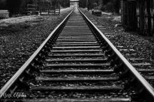 Z72_2086.webp