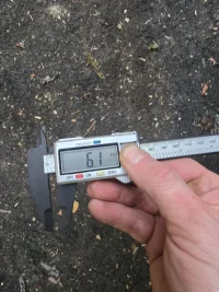20251217_145233.jpg