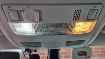 Bulbs.webp Bulbs.webp