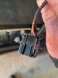 IMG_0133.webp