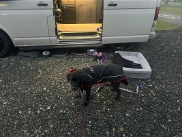 IMG-20260119-WA0008.webp IMG-20260119-WA0008.webp