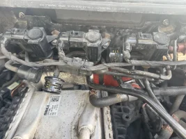 IMG_8639.webp