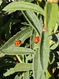 4870.webp