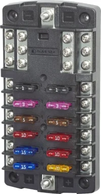 5031.jpg