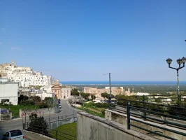 IMG_0691.webp IMG_0691.webp