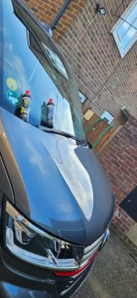 Shiney Bonnet.webp
