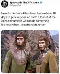 Artemis.webp