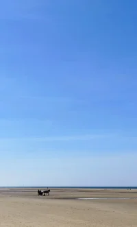 1000017691.webp