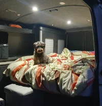 20240809_212610.webp