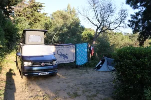 8L5A0547 copy.webp