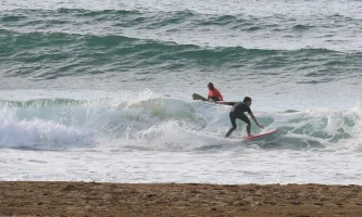 2Surf.webp