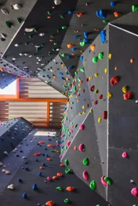 Screenshot_20260609_130627_Google.webp
