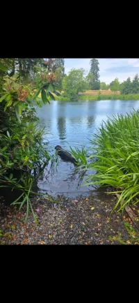 Screenshot_20260706_165749_Gallery.webp Screenshot_20260706_165749_Gallery.webp