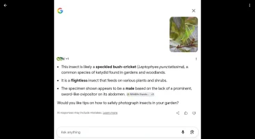 Screenshot_20260722_224705_Google.webp