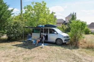 moho - 2.webp