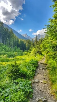 20170610_100209-01.webp