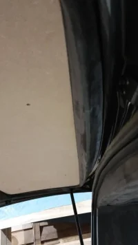IMG-20190113-WA0009.webp