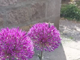 20180531_152516.webp