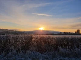 20190131_081515.webp