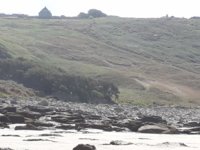 20180714_110533.jpg