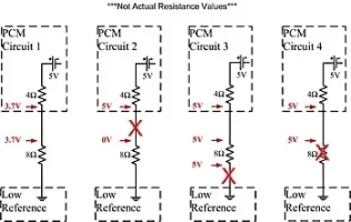 1110430Figure7O_00000061643.webp