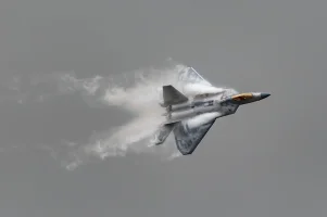 Raptor in action Andrew Hellen.webp
