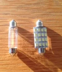 bulbs.webp