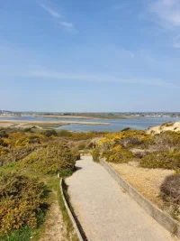 20190419_141923.webp