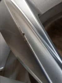 IMAG1001.webp