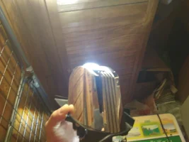 IMG_20171022_204123.webp