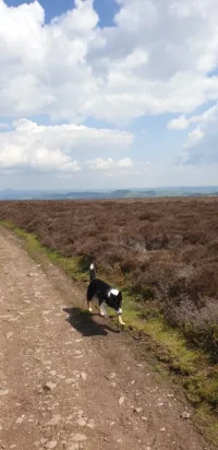 20190511_125757.webp